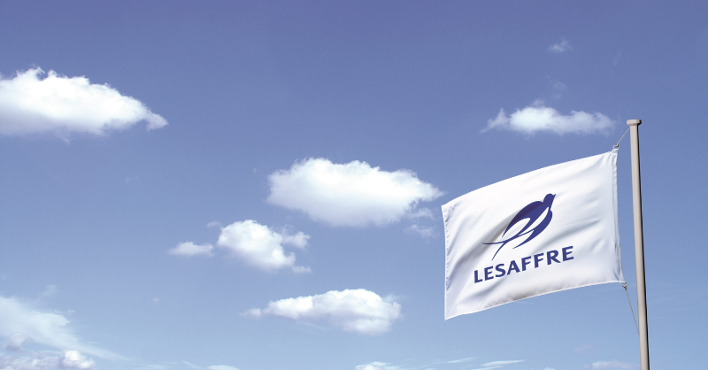 Drapeau avec le logo Lesaffre volant au vent